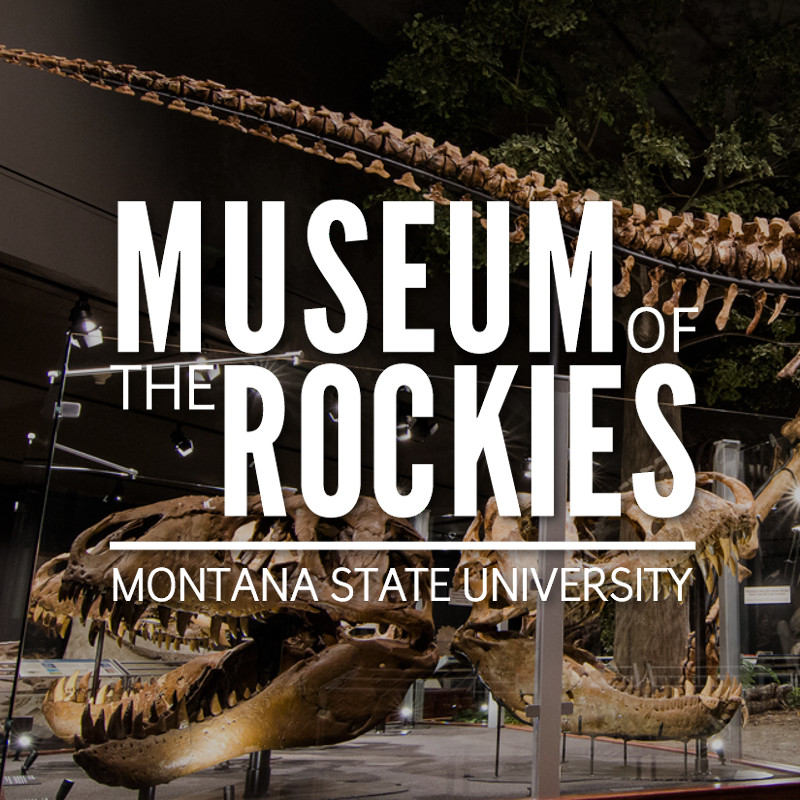 Museum of the Rockies logo over image of a dinosaur skeleton